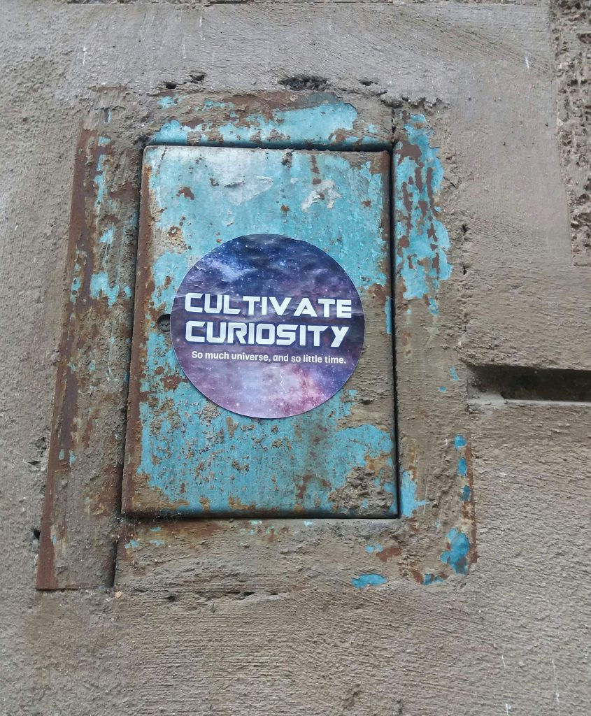 Decorative street art with the words “cultivate curiosity”, symbolising leadership mindset coaching for executive women